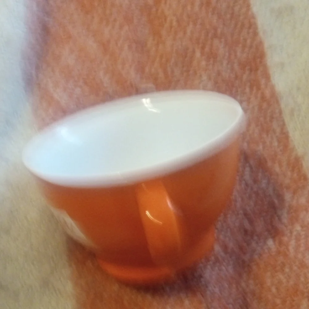 Pier 1 Imports Orange Stoneware Tea Cup